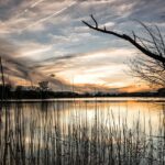 Skift bank med succes: 5 trin til den bedste aftale