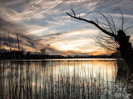 Skift bank med succes: 5 trin til den bedste aftale