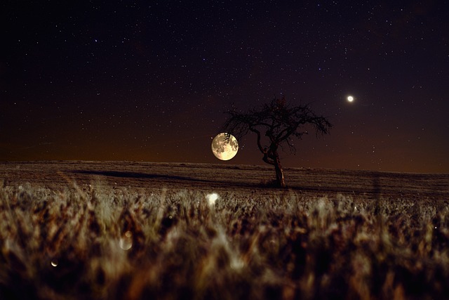10 underlige fakta om månen