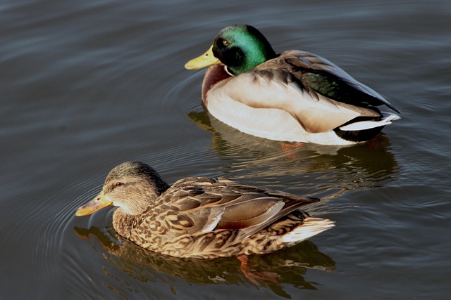 Snyd eller smart? Når krydsordsgenveje giver mening
